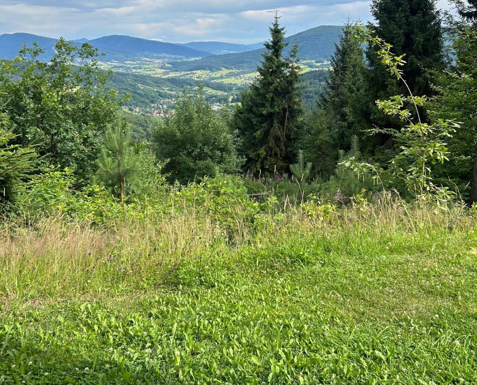 Bed and Breakfast Gosciniec Pod Lubomirem Weglowka  Экстерьер фото